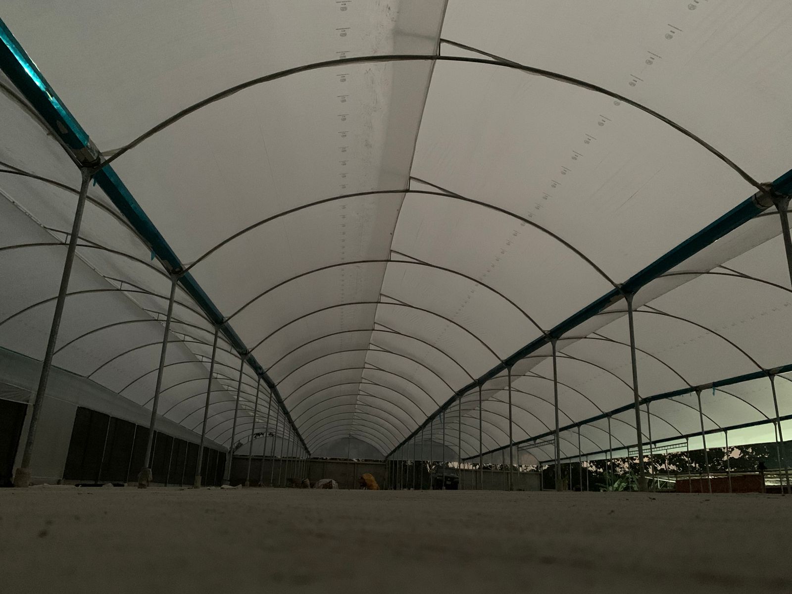 Proyecto agrícola