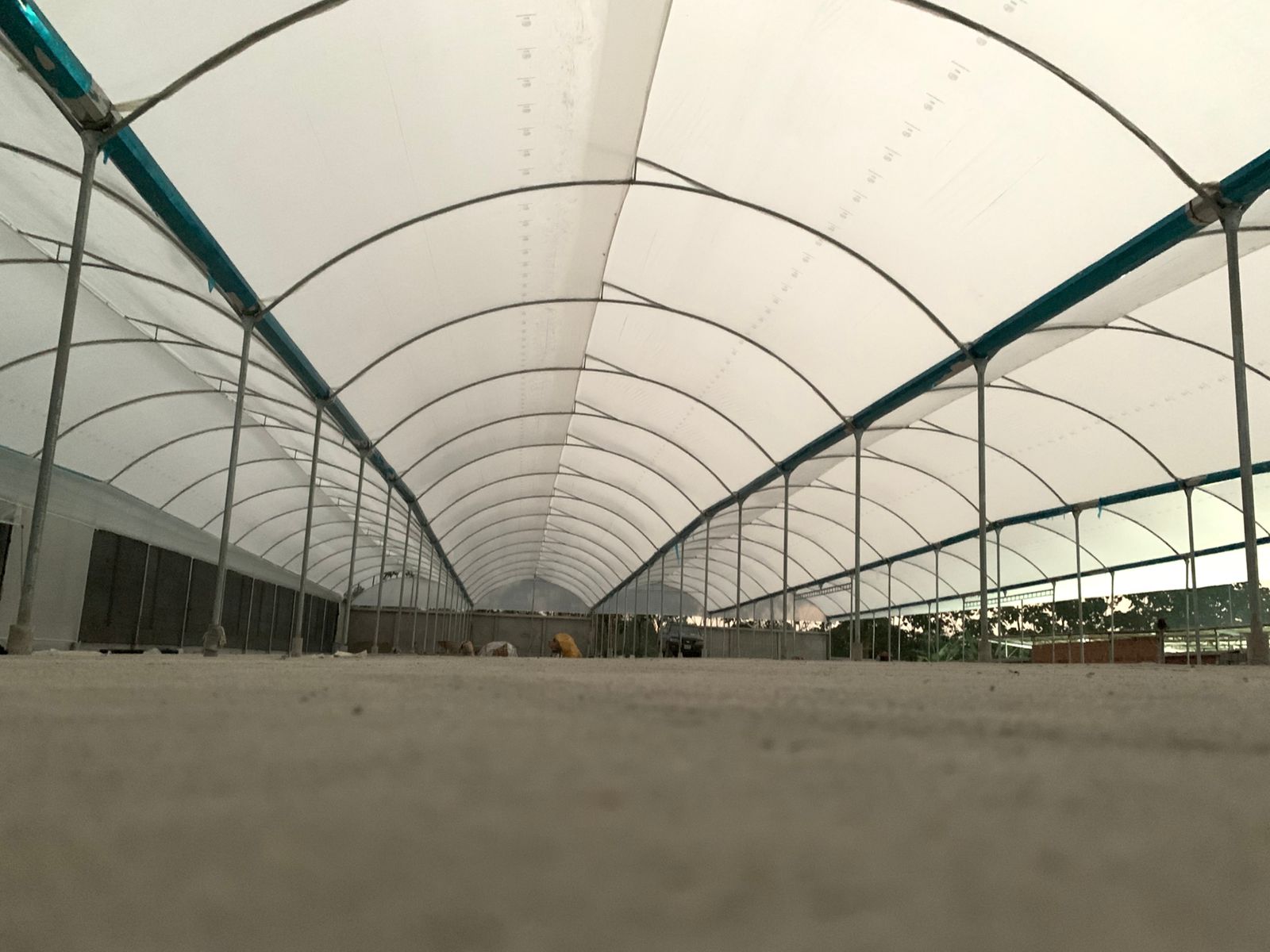 Estructura metálica