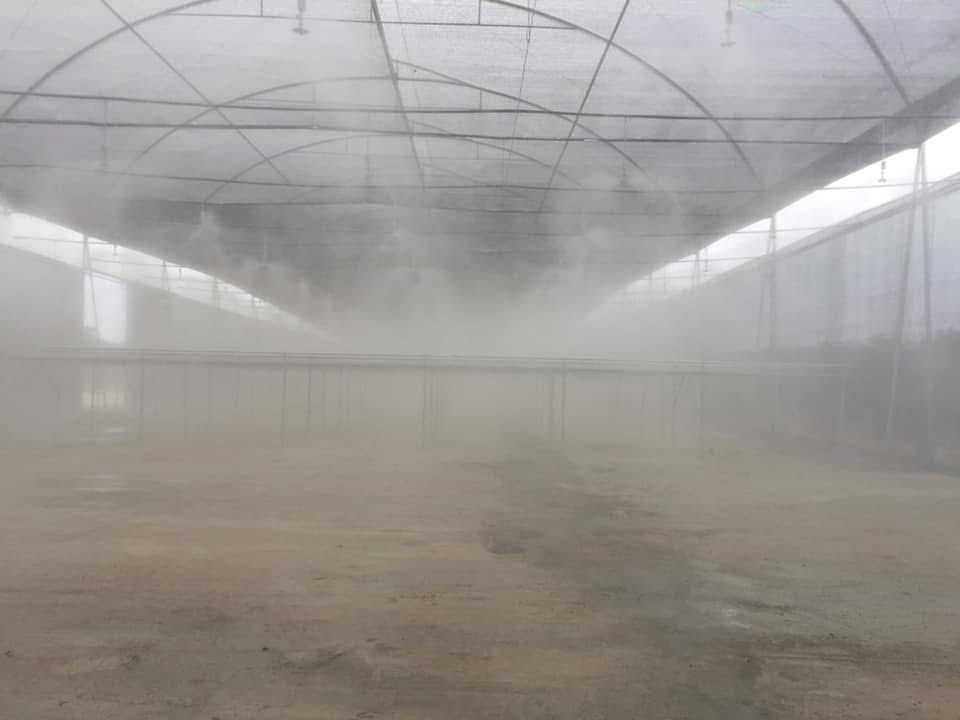 Instalación sistema de riego